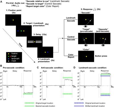 Cortical Activation during Landmark-Centered vs. Gaze-Centered Memory of Saccade Targets in the Human: An FMRI Study